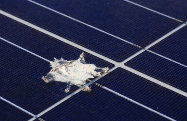 manutenzione Impianti Fotovoltaici manutenzione Impianti Fotovoltaici
